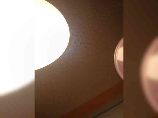 Chocolateboo598 webcam