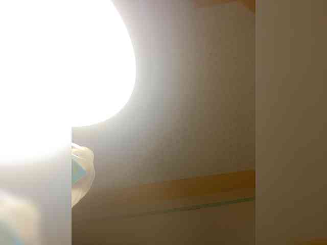 butterflyboo webcam