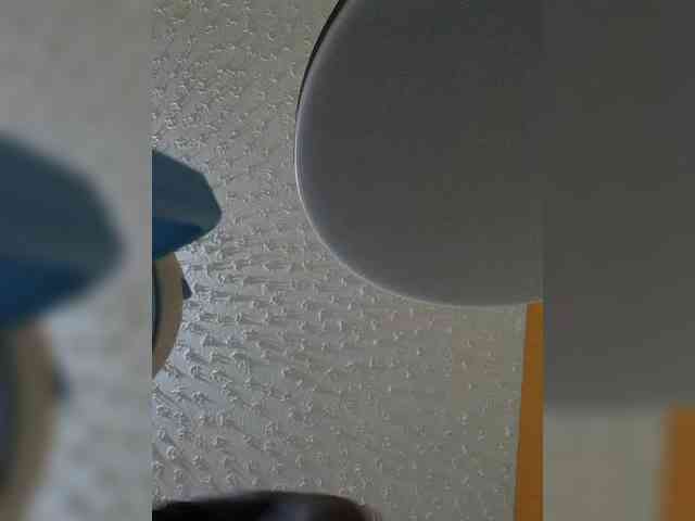 butterflyboo webcam