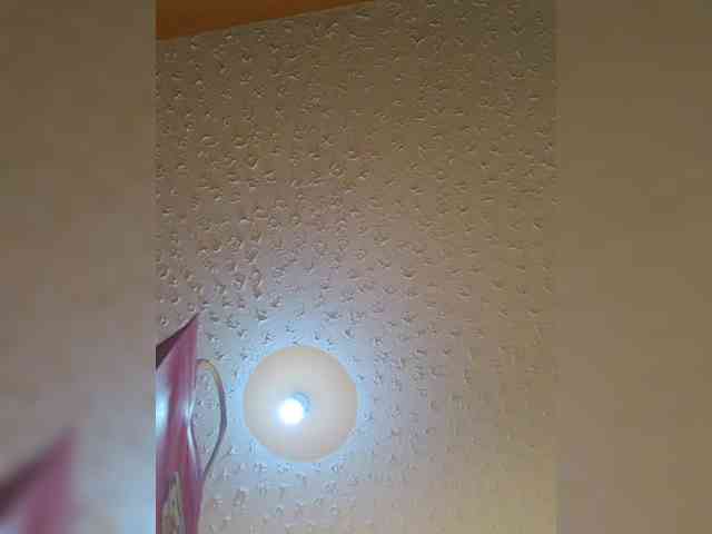 Hotpetite555 webcam