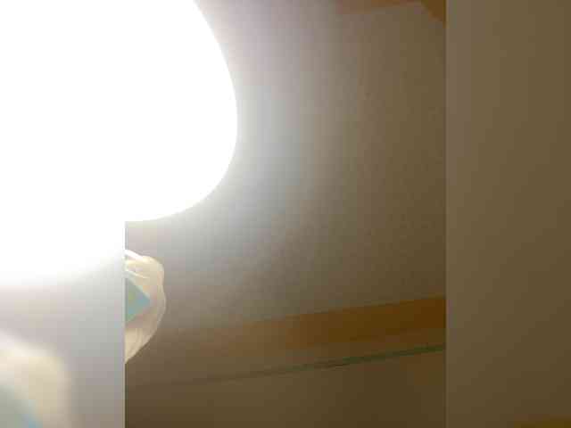 butterflyboo webcam