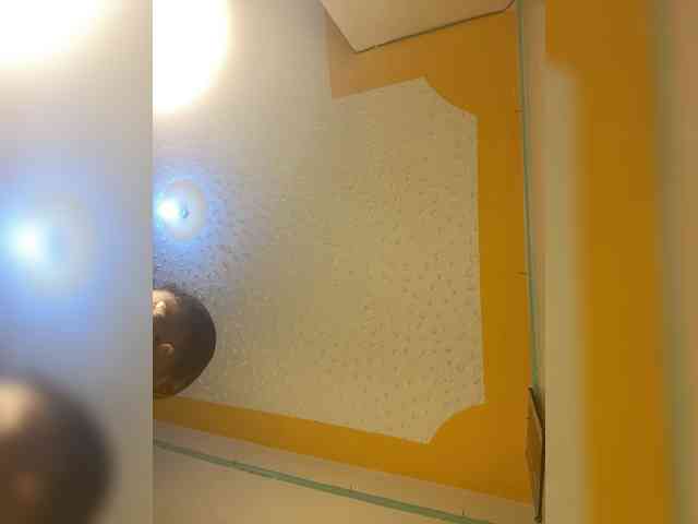 butterflyboo webcam