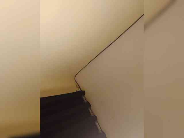 Chocolateboo598 Chocolateboo598