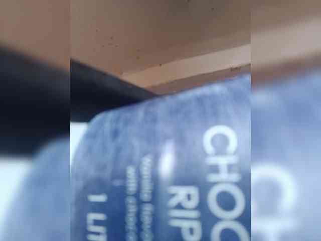 Chocolateboo598 webcam