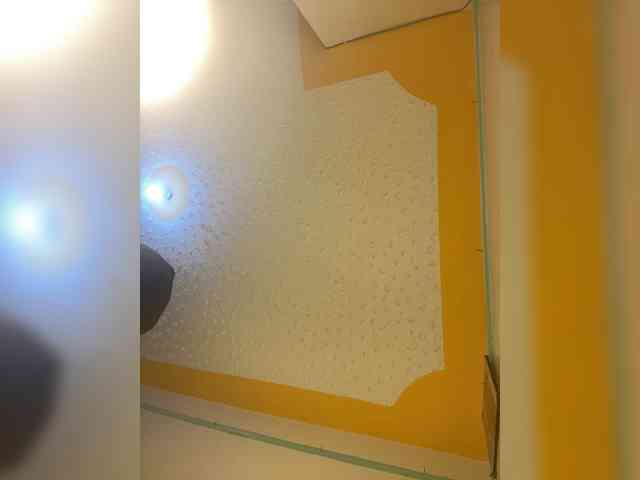 butterflyboo webcam
