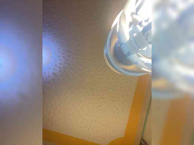Hotpetite555 webcam