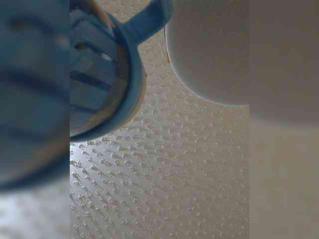 butterflyboo webcam