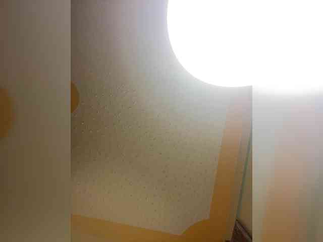 butterflyboo webcam