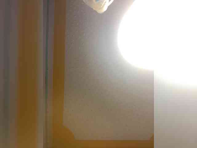 butterflyboo webcam