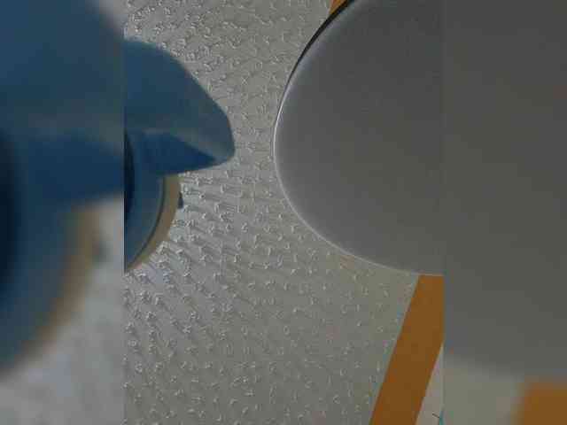 butterflyboo webcam