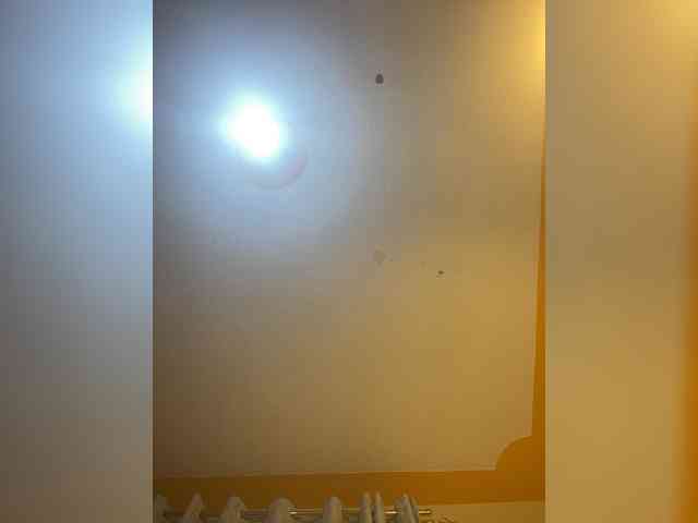 Hotpetite555 webcam