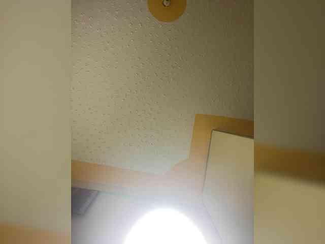 Chocolateboo598 webcam