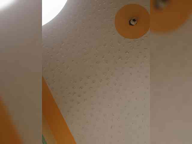 Chocolateboo598 webcam