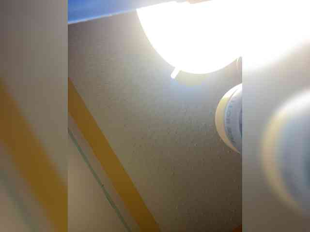 Chocolateboo598 webcam