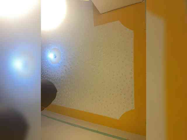 butterflyboo webcam