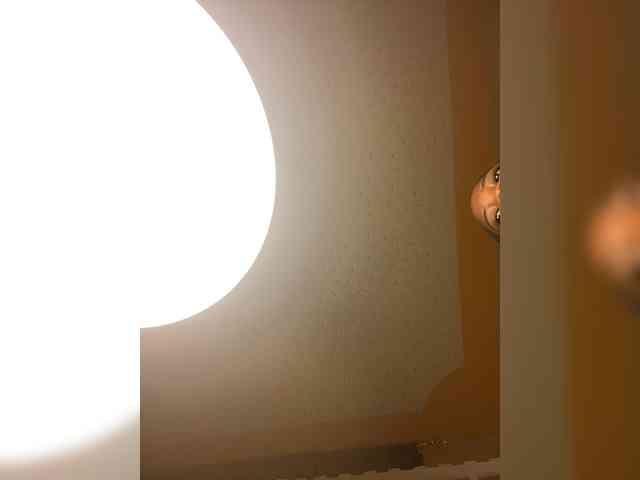 Chocolateboo598 webcam