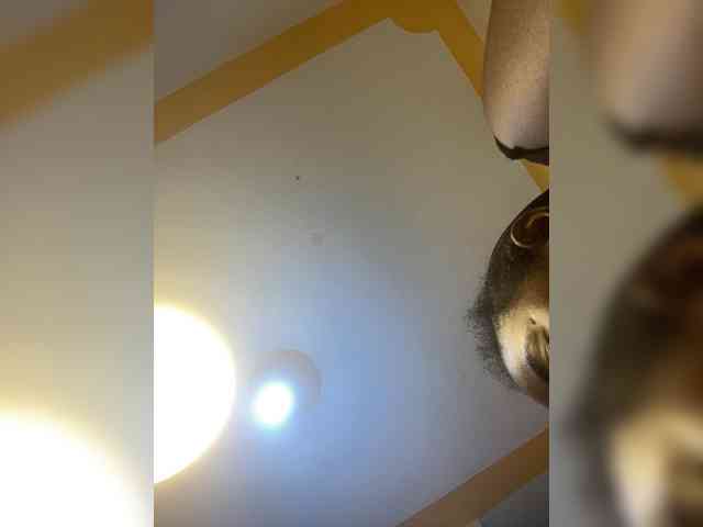 Chocolateboo598 webcam