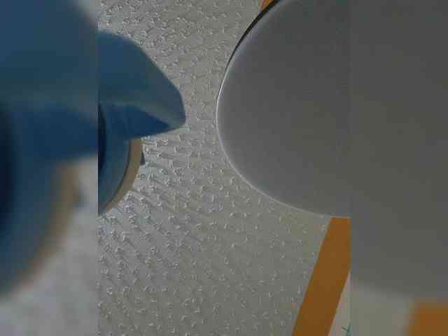 butterflyboo webcam