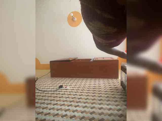Chocolateboo598 Chocolateboo598