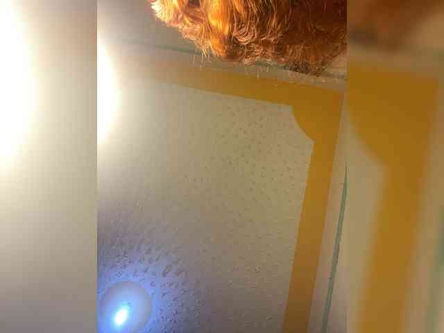 Hotpetite555 webcam