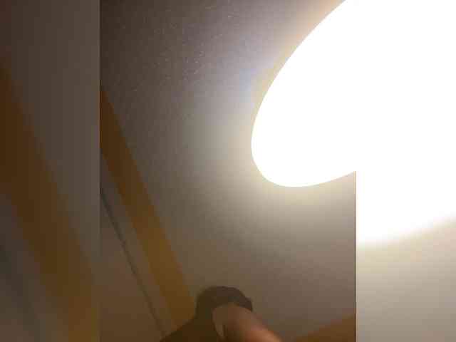 butterflyboo webcam