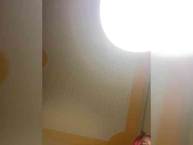 butterflyboo webcam