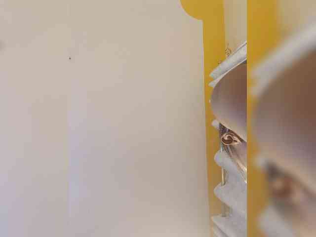 Hotpetite555 webcam