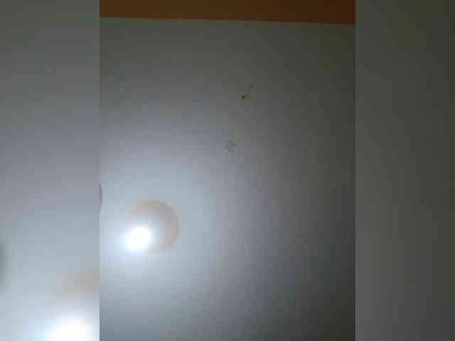 Chocolateboo598 webcam