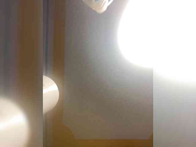 butterflyboo webcam