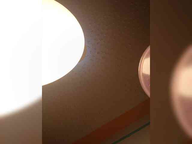 Chocolateboo598 webcam
