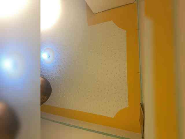 butterflyboo webcam