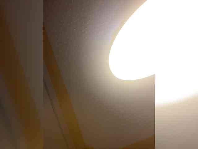 butterflyboo webcam