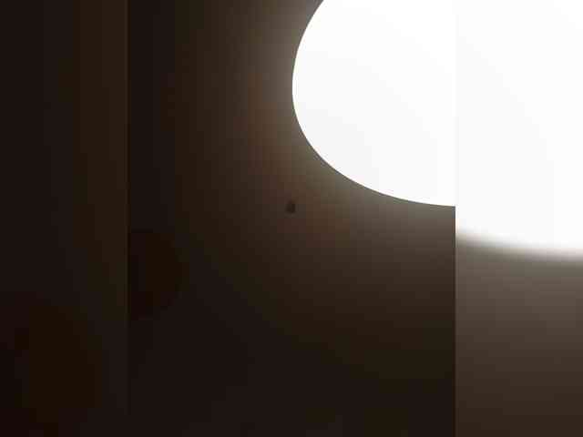 Chocolateboo598 webcam