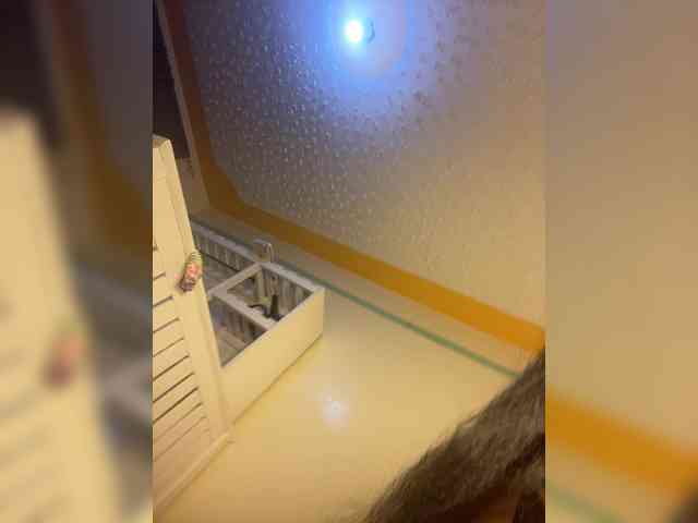 Hotpetite555 webcam