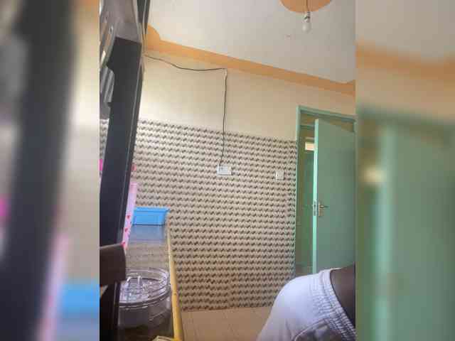 butterflyboo webcam