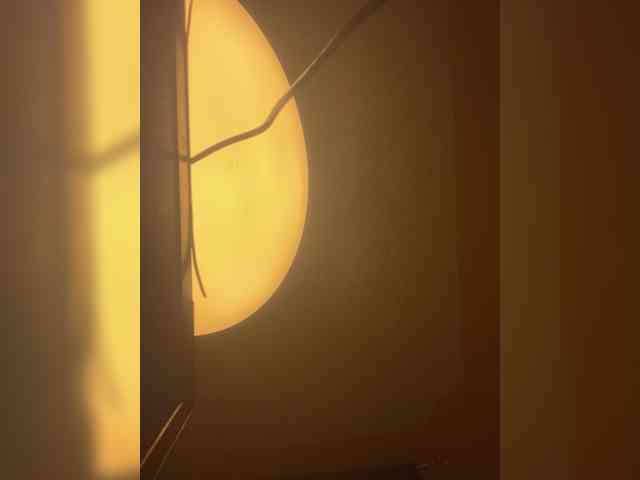 Chocolateboo598 webcam