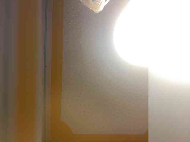 butterflyboo webcam