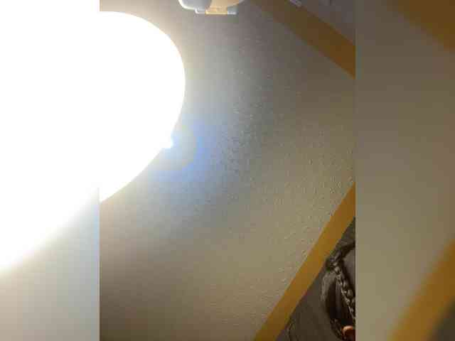 Chocolateboo598 Chocolateboo598