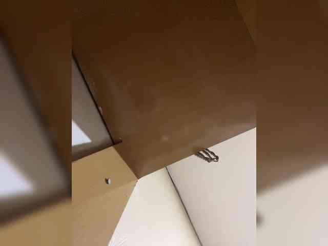 Chocolateboo598 Chocolateboo598