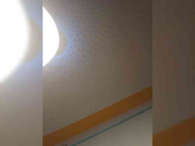 Chocolateboo598 webcam