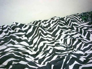 Petitelove's Live Webcam