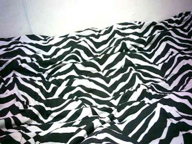 Petitelove webcam