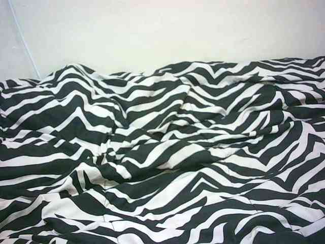 Petitelove webcam