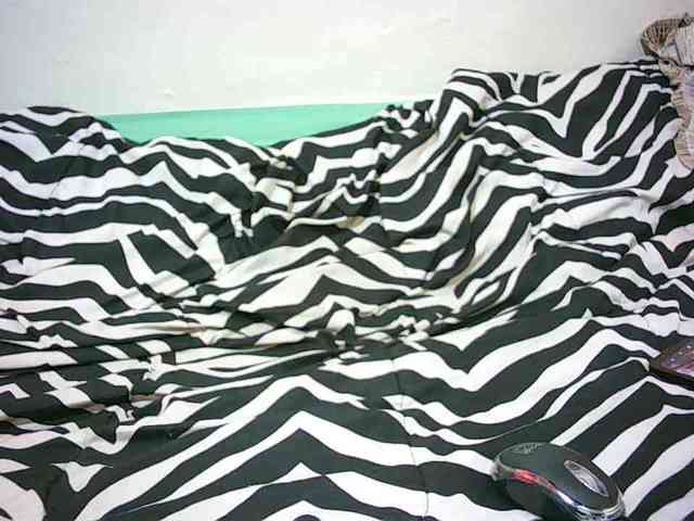 Petitelove webcam