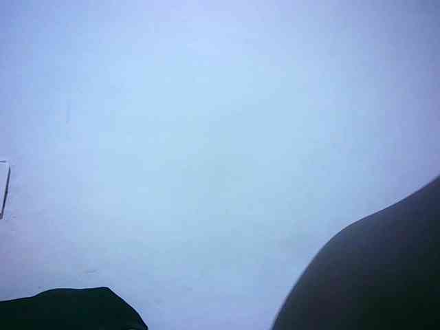 Petitelove webcam