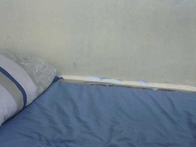 Slimpetite live cam on UnifiedCams