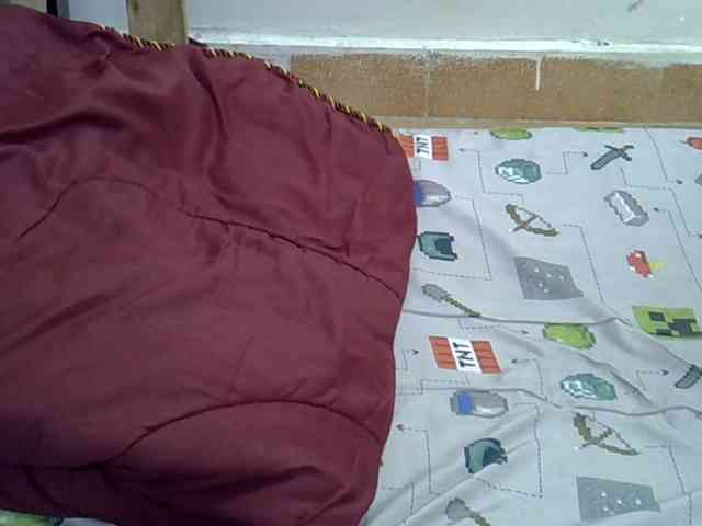 Slimpetite webcam