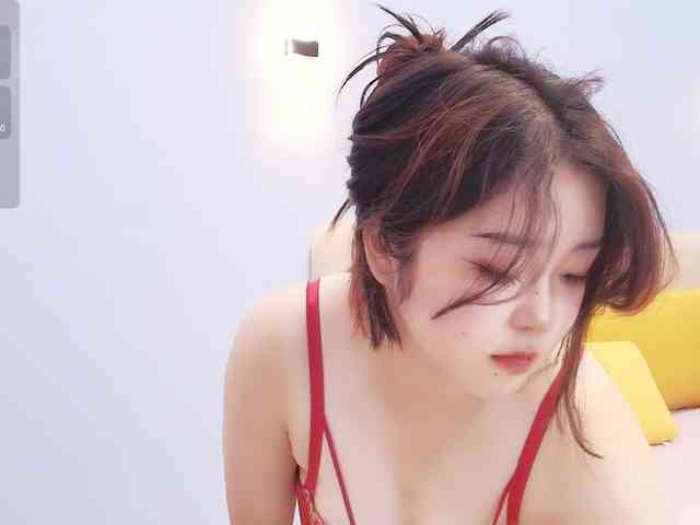 yunlihn webcam