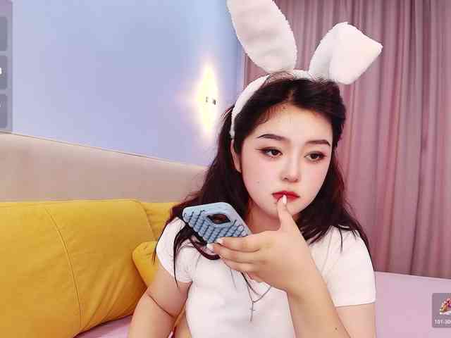 yunlihn webcam