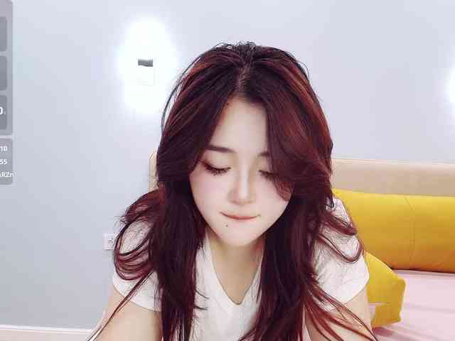 yunlihn webcam